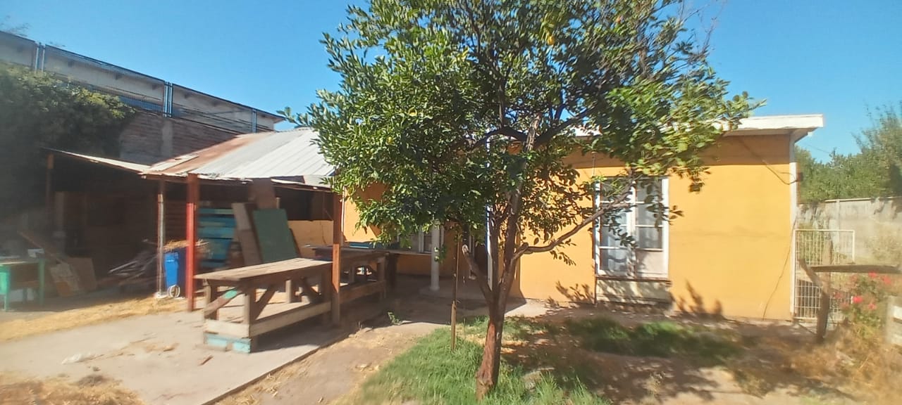 CasaCZ3